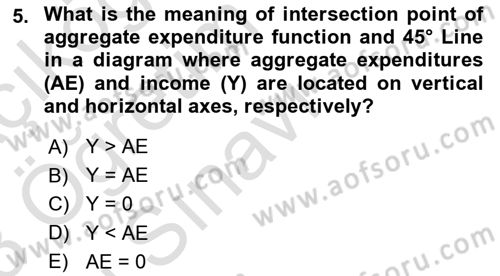 Introduction to Economics 2 Dersi 2022 - 2023 Yılı Yaz Okulu Sınav Soruları 5. Soru