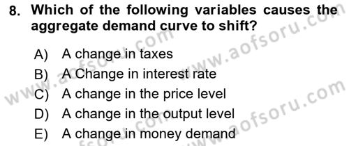 Introduction to Economics 2 Dersi 2022 - 2023 Yılı Yaz Okulu Sınav Soruları 8. Soru