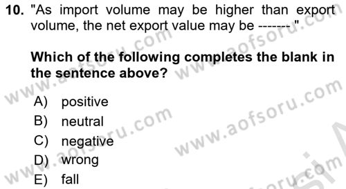 Introduction to Economics 2 Dersi 2023 - 2024 Yılı (Vize) Ara Sınav Soruları 10. Soru