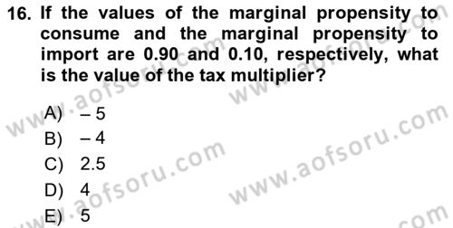 Introduction to Economics 2 Dersi 2023 - 2024 Yılı (Vize) Ara Sınav Soruları 16. Soru