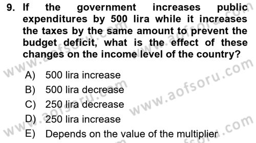 Introduction to Economics 2 Dersi 2023 - 2024 Yılı (Vize) Ara Sınav Soruları 9. Soru
