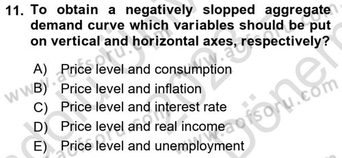 Introduction to Economics 2 Dersi 2023 - 2024 Yılı (Final) Dönem Sonu Sınav Soruları 11. Soru