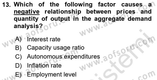 Introduction to Economics 2 Dersi 2023 - 2024 Yılı (Final) Dönem Sonu Sınav Soruları 13. Soru