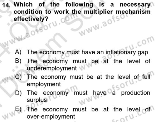 Introduction to Economics 2 Dersi 2023 - 2024 Yılı (Final) Dönem Sonu Sınav Soruları 14. Soru