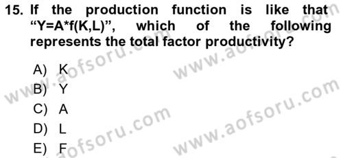 Introduction to Economics 2 Dersi 2023 - 2024 Yılı (Final) Dönem Sonu Sınav Soruları 15. Soru