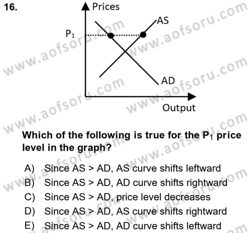 Introduction to Economics 2 Dersi 2023 - 2024 Yılı (Final) Dönem Sonu Sınav Soruları 16. Soru
