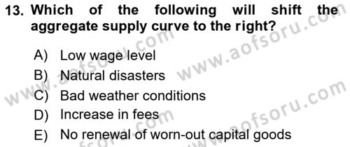 Introduction to Economics 2 Dersi 2023 - 2024 Yılı Yaz Okulu Sınav Soruları 13. Soru