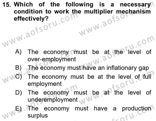 Introduction to Economics 2 Dersi 2023 - 2024 Yılı Yaz Okulu Sınav Soruları 15. Soru