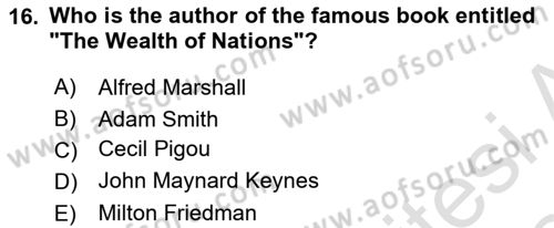 Introduction to Economics 2 Dersi 2023 - 2024 Yılı Yaz Okulu Sınav Soruları 16. Soru