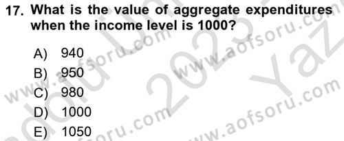 Introduction to Economics 2 Dersi 2023 - 2024 Yılı Yaz Okulu Sınav Soruları 17. Soru