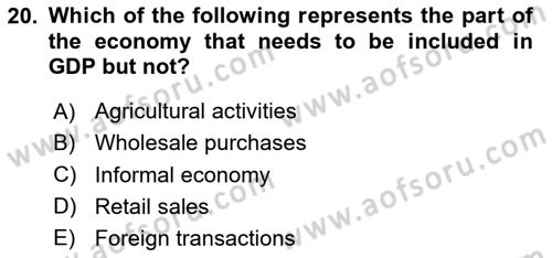 Introduction to Economics 2 Dersi 2023 - 2024 Yılı Yaz Okulu Sınav Soruları 20. Soru