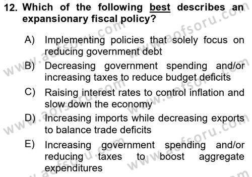 Introduction to Economics 2 Dersi 2024 - 2025 Yılı (Vize) Ara Sınav Soruları 12. Soru