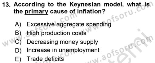 Introduction to Economics 2 Dersi 2024 - 2025 Yılı (Vize) Ara Sınav Soruları 13. Soru