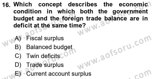 Introduction to Economics 2 Dersi 2024 - 2025 Yılı (Vize) Ara Sınav Soruları 16. Soru