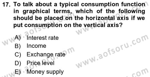 Introduction to Economics 2 Dersi 2024 - 2025 Yılı (Vize) Ara Sınav Soruları 17. Soru