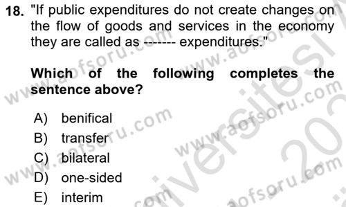 Introduction to Economics 2 Dersi 2024 - 2025 Yılı (Vize) Ara Sınav Soruları 18. Soru