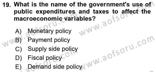 Introduction to Economics 2 Dersi 2024 - 2025 Yılı (Vize) Ara Sınav Soruları 19. Soru