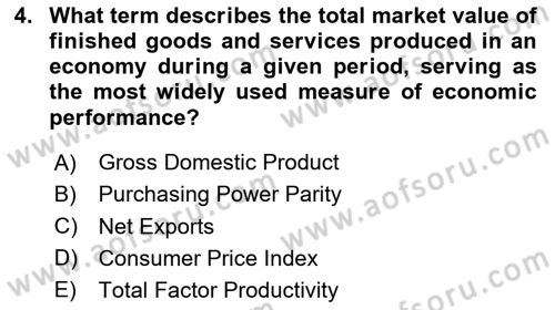 Introduction to Economics 2 Dersi 2024 - 2025 Yılı (Vize) Ara Sınav Soruları 4. Soru