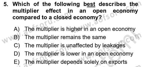 Introduction to Economics 2 Dersi 2024 - 2025 Yılı (Vize) Ara Sınav Soruları 5. Soru