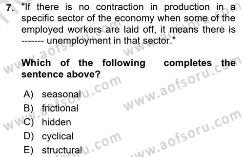 Introduction to Economics 2 Dersi 2024 - 2025 Yılı (Vize) Ara Sınav Soruları 7. Soru