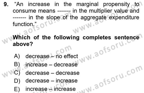 Introduction to Economics 2 Dersi 2024 - 2025 Yılı (Vize) Ara Sınav Soruları 9. Soru