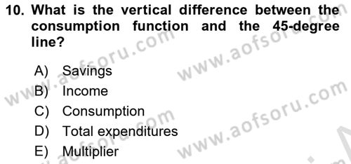 Introduction to Economics 2 Dersi 2024 - 2025 Yılı (Final) Dönem Sonu Sınav Soruları 10. Soru