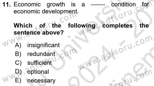 Introduction to Economics 2 Dersi 2024 - 2025 Yılı (Final) Dönem Sonu Sınav Soruları 11. Soru