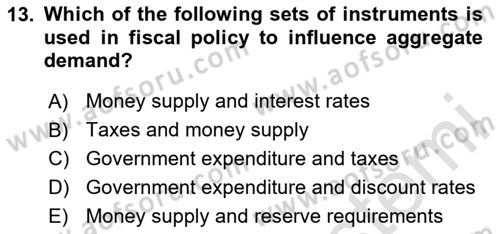 Introduction to Economics 2 Dersi 2024 - 2025 Yılı (Final) Dönem Sonu Sınav Soruları 13. Soru