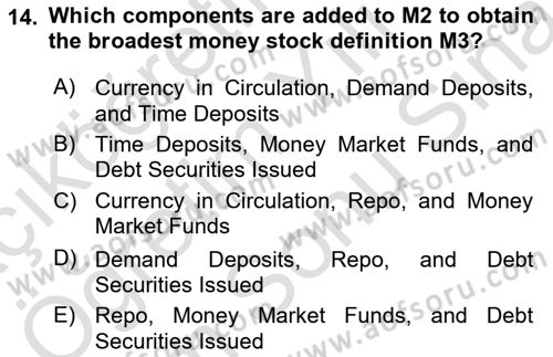Introduction to Economics 2 Dersi 2024 - 2025 Yılı (Final) Dönem Sonu Sınav Soruları 14. Soru