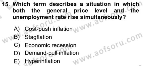 Introduction to Economics 2 Dersi 2024 - 2025 Yılı (Final) Dönem Sonu Sınav Soruları 15. Soru