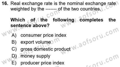 Introduction to Economics 2 Dersi 2024 - 2025 Yılı (Final) Dönem Sonu Sınav Soruları 16. Soru