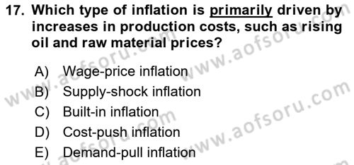 Introduction to Economics 2 Dersi 2024 - 2025 Yılı (Final) Dönem Sonu Sınav Soruları 17. Soru