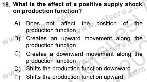 Introduction to Economics 2 Dersi 2024 - 2025 Yılı (Final) Dönem Sonu Sınav Soruları 18. Soru