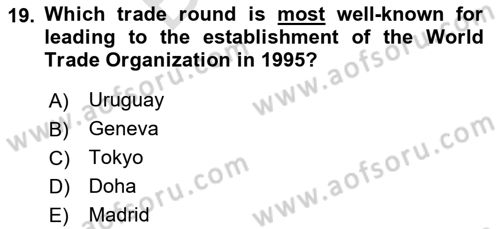Introduction to Economics 2 Dersi 2024 - 2025 Yılı (Final) Dönem Sonu Sınav Soruları 19. Soru