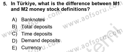 Introduction to Economics 2 Dersi 2024 - 2025 Yılı (Final) Dönem Sonu Sınav Soruları 5. Soru