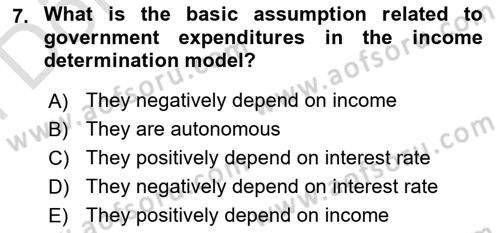 Introduction to Economics 2 Dersi 2024 - 2025 Yılı (Final) Dönem Sonu Sınav Soruları 7. Soru