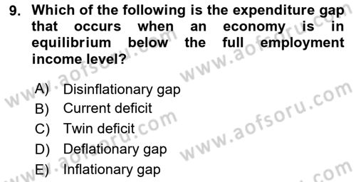 Introduction to Economics 2 Dersi 2024 - 2025 Yılı (Final) Dönem Sonu Sınav Soruları 9. Soru