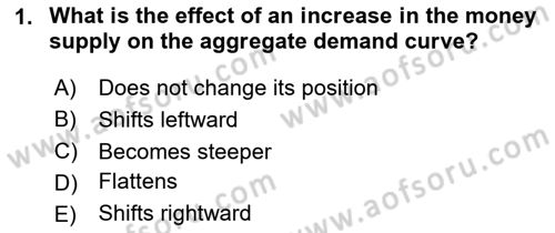 Introduction to Economics 2 Dersi 2024 - 2025 Yılı Yaz Okulu Sınav Soruları 1. Soru