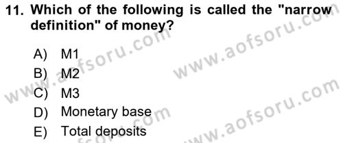 Introduction to Economics 2 Dersi 2024 - 2025 Yılı Yaz Okulu Sınav Soruları 11. Soru