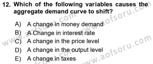 Introduction to Economics 2 Dersi 2024 - 2025 Yılı Yaz Okulu Sınav Soruları 12. Soru