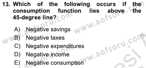 Introduction to Economics 2 Dersi 2024 - 2025 Yılı Yaz Okulu Sınav Soruları 13. Soru