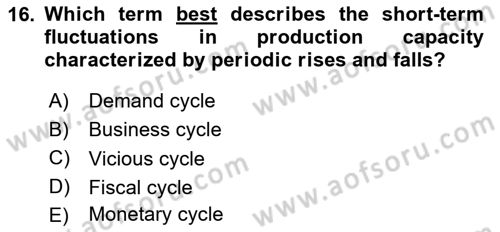 Introduction to Economics 2 Dersi 2024 - 2025 Yılı Yaz Okulu Sınav Soruları 16. Soru