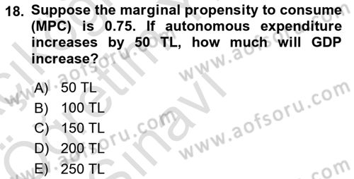 Introduction to Economics 2 Dersi 2024 - 2025 Yılı Yaz Okulu Sınav Soruları 18. Soru