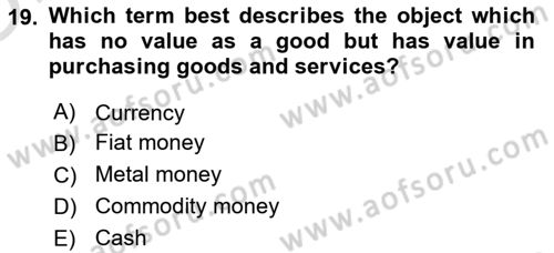 Introduction to Economics 2 Dersi 2024 - 2025 Yılı Yaz Okulu Sınav Soruları 19. Soru