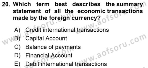 Introduction to Economics 2 Dersi 2024 - 2025 Yılı Yaz Okulu Sınav Soruları 20. Soru
