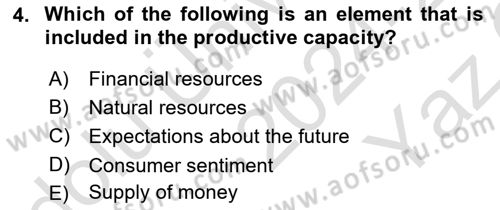 Introduction to Economics 2 Dersi 2024 - 2025 Yılı Yaz Okulu Sınav Soruları 4. Soru
