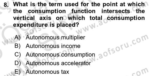 Introduction to Economics 2 Dersi 2024 - 2025 Yılı Yaz Okulu Sınav Soruları 8. Soru