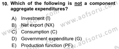 Introduction to Economics 2 Dersi 2025 - 2026 Yılı (Vize) Ara Sınav Soruları 10. Soru