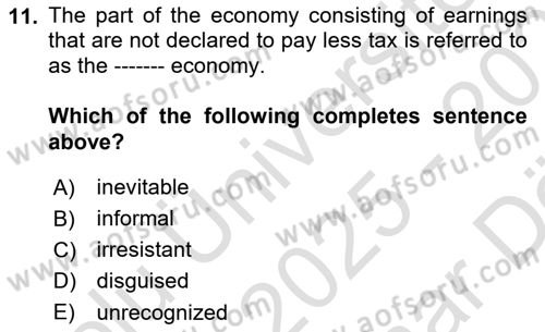 Introduction to Economics 2 Dersi 2025 - 2026 Yılı (Vize) Ara Sınav Soruları 11. Soru