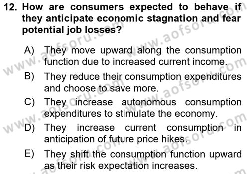 Introduction to Economics 2 Dersi 2025 - 2026 Yılı (Vize) Ara Sınav Soruları 12. Soru